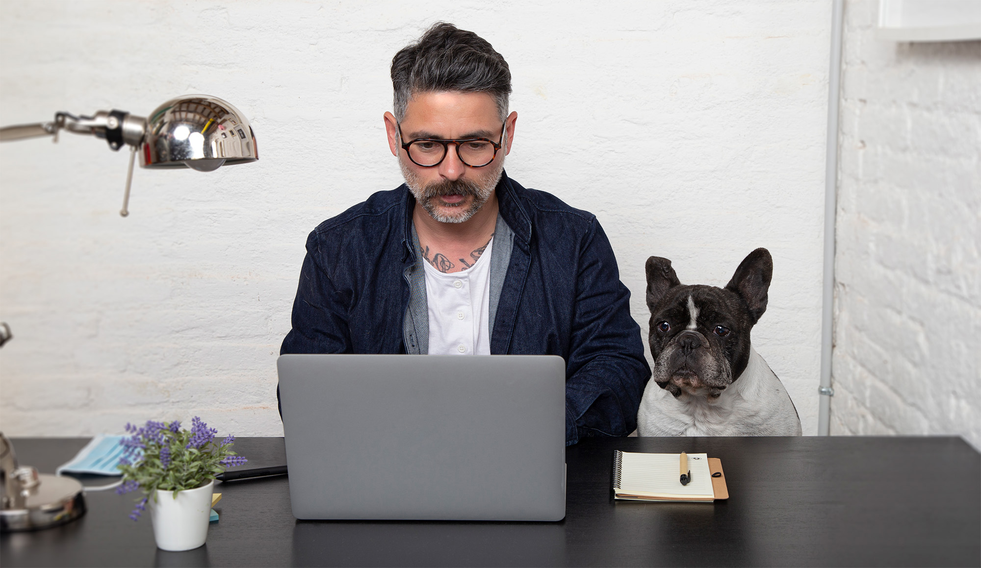 man and dog looking at laptop