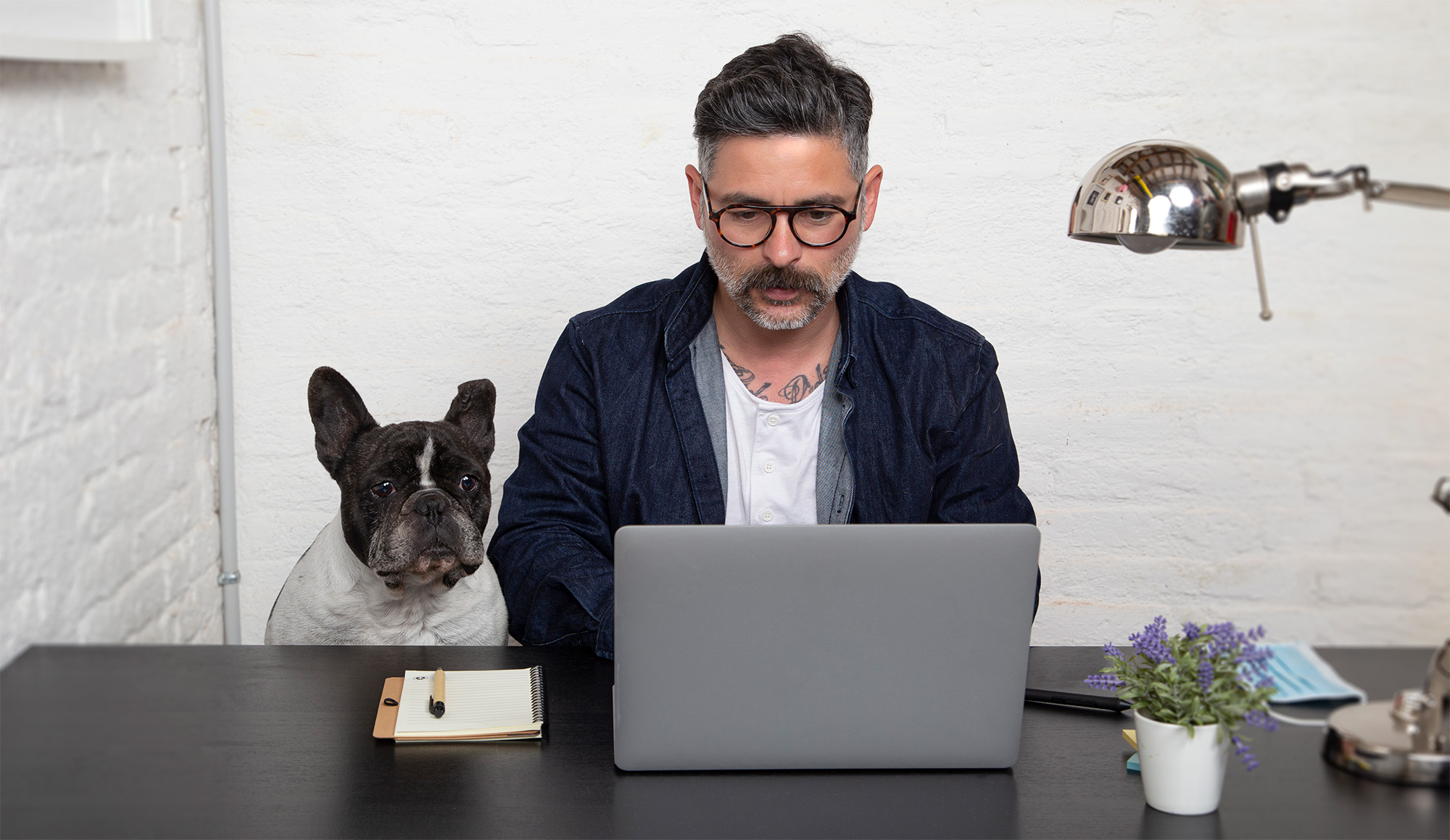 man with dog on computer