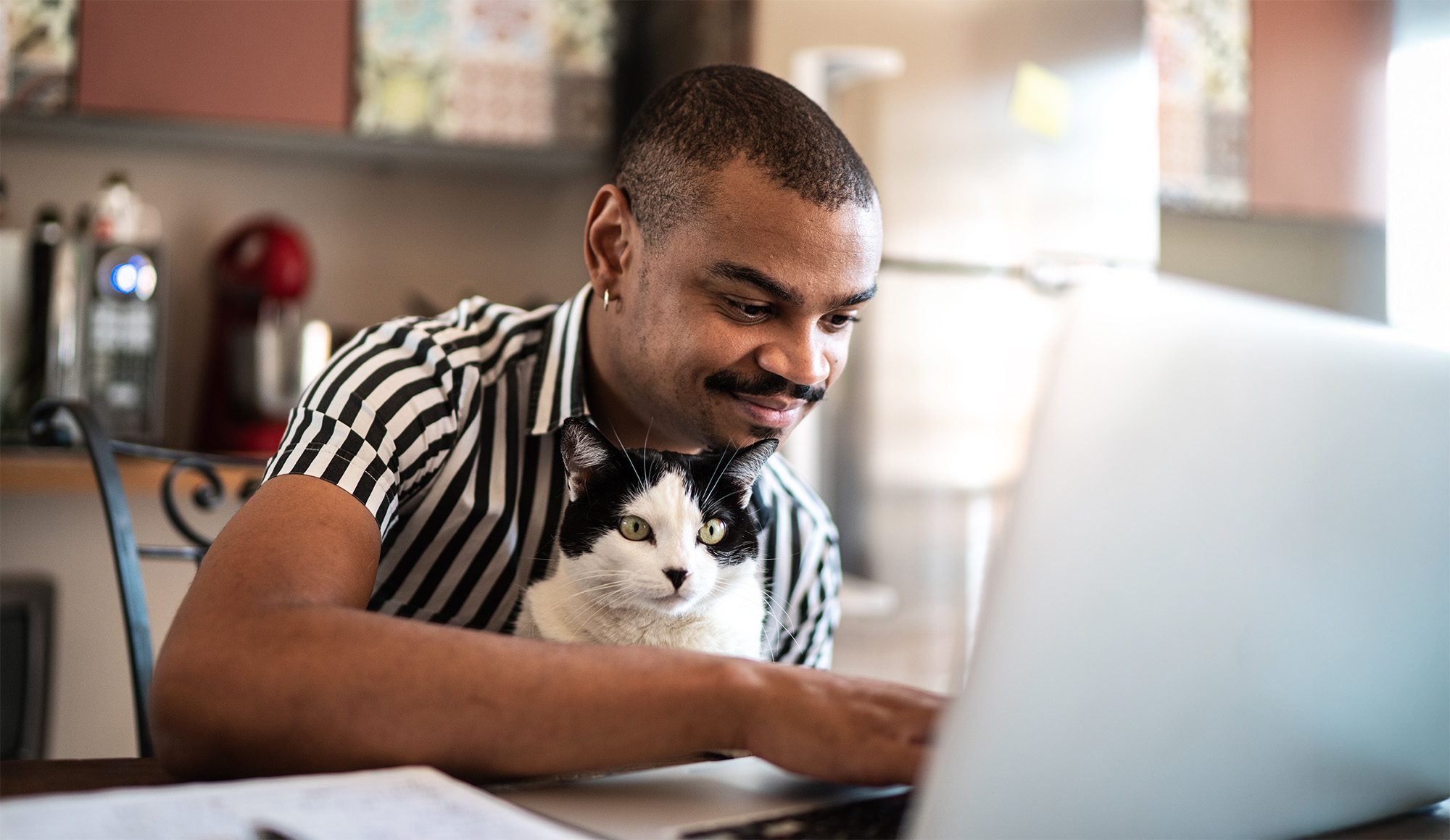 Man with cat checking computer